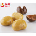 Chinese chestnuts for sale